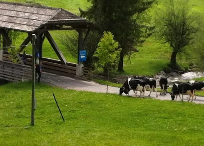 Lejlighed Erika Eriz