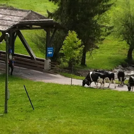 Apartamento Erika Eriz